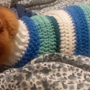 K&ouml;nnte beinhalten: Nahaufnahme eines rotbraunen Katers, der einen gestrickten Pullover in den Farben Blau, Wei&szlig; und Gr&uuml;n tr&auml;gt. Die Katze liegt auf einer gemusterten Decke.