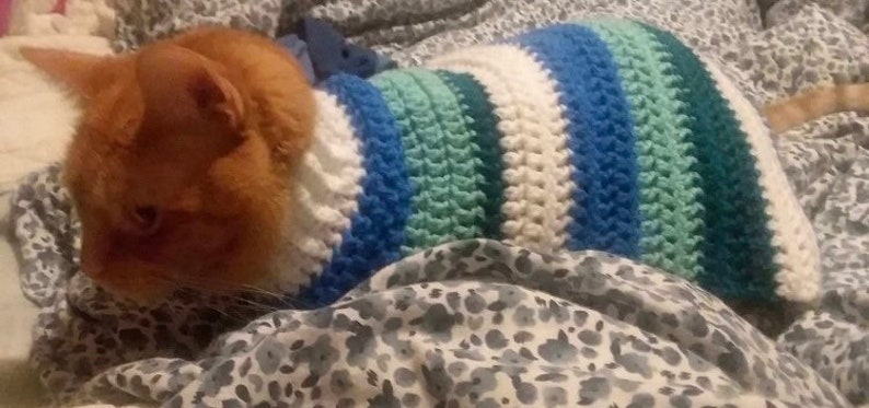 K&ouml;nnte beinhalten: Nahaufnahme eines rotbraunen Katers, der einen gestrickten Pullover in den Farben Blau, Wei&szlig; und Gr&uuml;n tr&auml;gt. Die Katze liegt auf einer gemusterten Decke.
