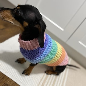 Könnte beinhalten: Ein schwarzer und brauner Dackel trägt einen regenbogenfarbenen gehäkelten Pullover. Der Pullover hat Streifen in Pink, Lila, Hellblau, Grün, Gelb und Orange.