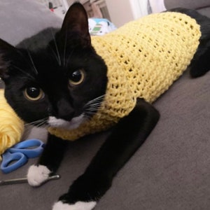 K&ouml;nnte beinhalten: Eine schwarz-wei&szlig;e Katze tr&auml;gt einen gelben H&auml;kelpullover. Die Katze liegt auf einem grauen Sofa mit Garn und einer H&auml;kelnadel in der N&auml;he.