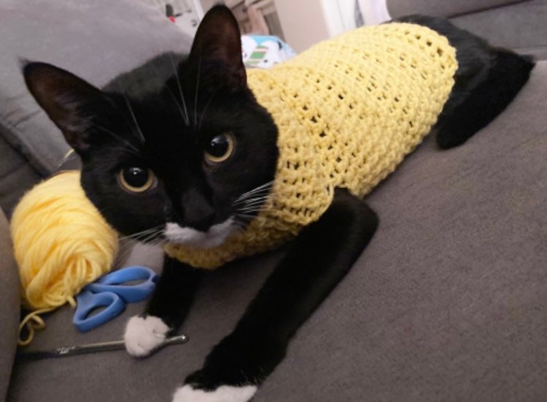 K&ouml;nnte beinhalten: Eine schwarz-wei&szlig;e Katze tr&auml;gt einen gelben H&auml;kelpullover. Die Katze liegt auf einem grauen Sofa mit Garn und einer H&auml;kelnadel in der N&auml;he.
