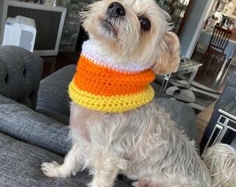 Candy Corn Crochet Dog Snood: Halloween Costume Scarf, Personalized