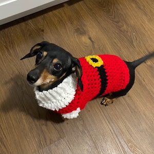 Crochet Santa Dog Sweater, Custom Made, Dog Sweater, Sweater For Dogs, Santa Dog Sweater, Handmade To Order, Personalized Dog Sweater