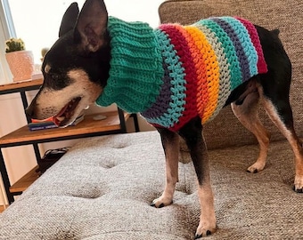 Crochet Turtleneck Dog Sweater: Custom Striped Knit