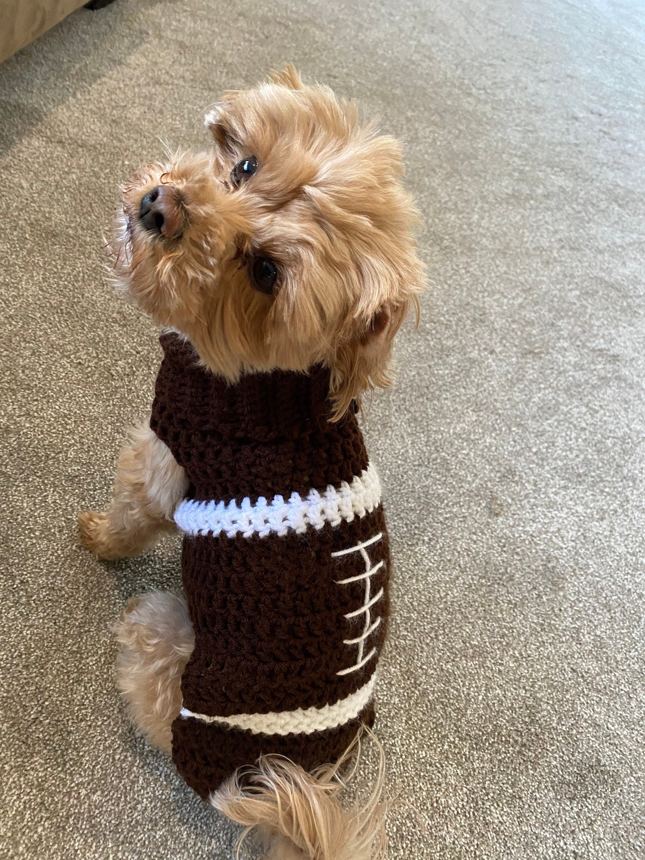 NFL & NCAA Dog Sweaters, Apparel & Accessories. NFL Dog Sweaters, NFL Dog  Clothing. FOCO