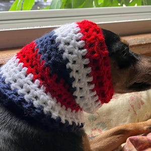 Könnte beinhalten: Ein kleiner schwarzer Hund mit einem gehäkelten Hut in Rot, Weiß und Blau. Der Hut bedeckt die Ohren und den oberen Teil des Kopfes des Hundes. Der Hund liegt auf einer Oberfläche mit floralem Muster.