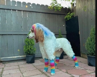 Crochet Dog Leg Warmers: Custom Handmade Dog Socks