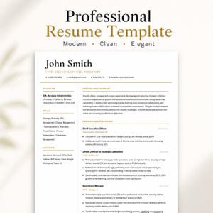 May include: A professional resume template featuring the text Professional Resume Template Modern Clean Elegant at the top. The document includes sections for education, skills, computer proficiency, professional summary, and experience.