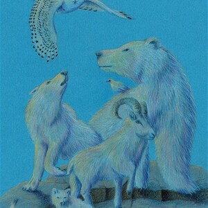 Arctic Ghosts - Original  Colored Pencil