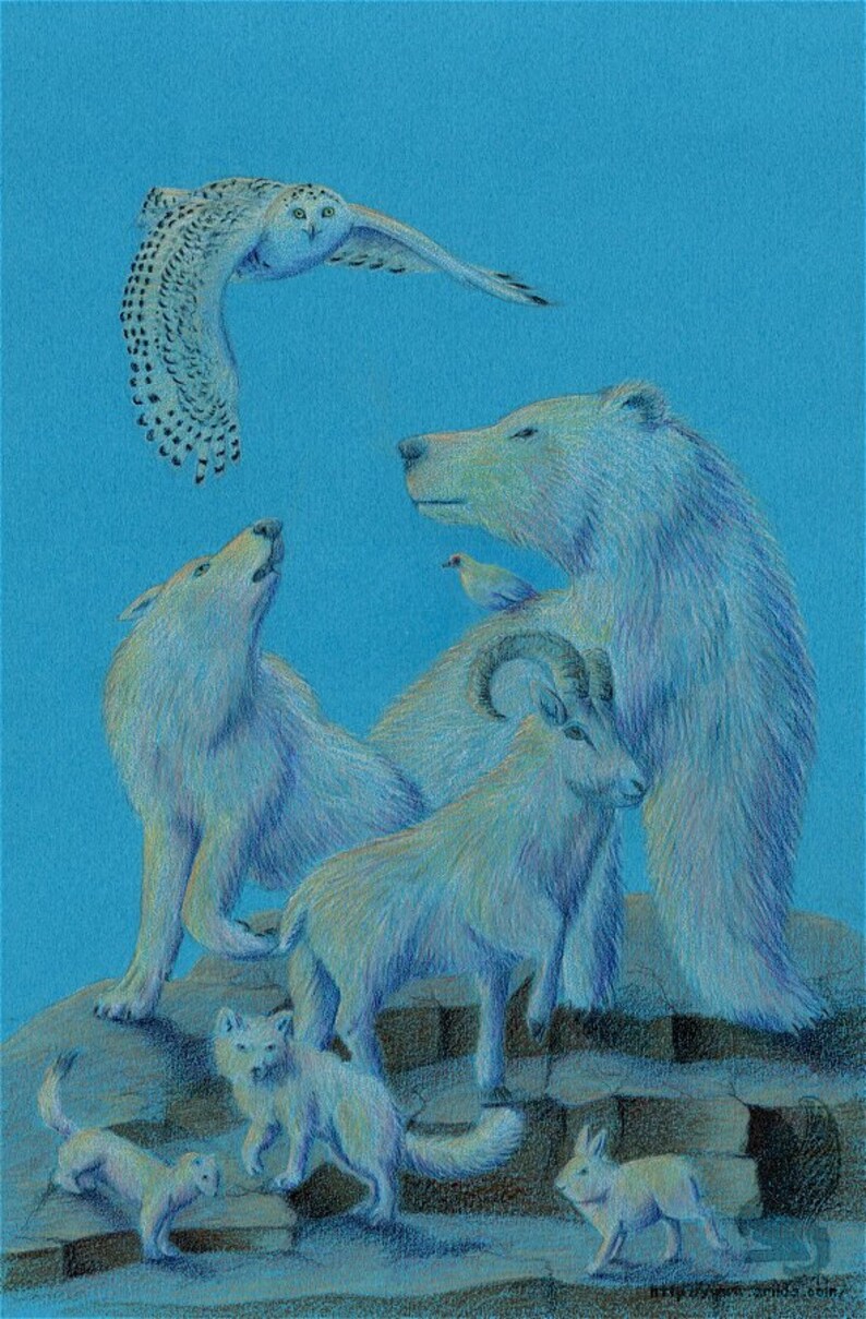 Arctic Ghosts Original Colored Pencil image 1