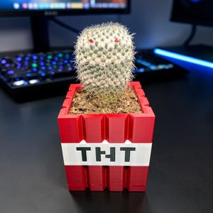 Puede incluir: Un cactus pequeño, redondo y verde con espinas blancas y diminutas flores rosas, plantado en una maceta cuadrada roja impresa en 3D. La maceta presenta una banda blanca horizontal en el centro con el texto negro en bloques "TNT" al frente.