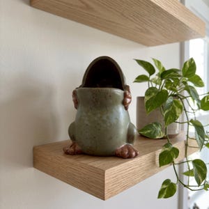 Op de afbeelding: Een keramische plantenbak in de vorm van een kikker met een gespikkeld saliegroen glazuur en bruine accenten op de voeten en handen. De kikker heeft een open mondontwerp, wat een holle ruimte creëert voor kleine voorwerpen of planten.