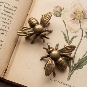 Op de afbeelding: Twee bijvormige ornamenten van antiek messing met gedetailleerde vleugels, gesegmenteerde lichamen en zes poten. De metalen insecten liggen op een open bladzijde van een boek met botanische tekst en een afbeelding van een witte bloem.