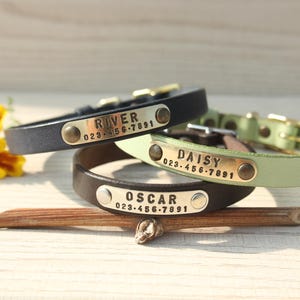 May include: Three leather pet collars in black, light green, and dark brown. Each collar features a metal nameplate secured with two rivets. The plates are engraved with the names RIVER, DAISY, and OSCAR, along with the phone number 023-456-7891.