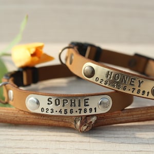 May include: Two tan leather pet collars featuring rectangular metal identification plates. One plate is engraved with the name SOPHIE and the number 023-456-7891, while the other plate displays the name HONEY and the number 023-456-7891.