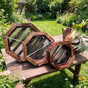 Support octogonal personnalisé pour fougère corne de cerf, cadre en bois brûlé pour plante, jardinière verticale d'intérieur, présentoir pour fougère, décoration murale botanique rustique