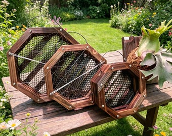 Supporto ottagonale personalizzato per felce a corna di cervo, cornice per piante in legno carbonizzato, fioriera verticale da interni, esposizione di felci, decorazione murale botanica rustica