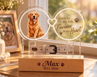 Luminária Memorial Personalizada para Animais de Estimação com Suporte para Coleira, Luz Noturna LED em Acrílico em Formato de Coração Infinito - Presente Personalizado de Condolências pela Perda de um Animal de Estimação