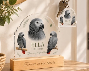 Placa fotográfica personalizada em acrílico com 3 fotos e base de LED para homenagear seu animal de estimação. Ideal para lembrar cães, gatos e pássaros. Presente perfeito para amantes de animais em luto.