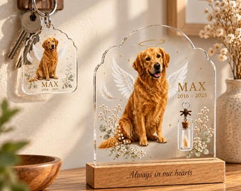Custom Pet Memorial Plaque & Keychain with Fur Vial Angel Wings LED Night Light, Personalized Dog Cat Photo, Pet Loss Sympathy Gift