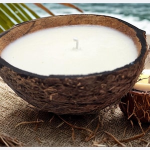 May include: Two coconut shell candles. One large candle is filled with white wax and has a single wick. A smaller candle with a lit wick sits next to it. The candles are on a burlap surface, with a beach and palm fronds in the background.