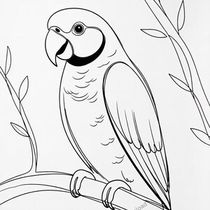 Pet Coloring Pages Bundle Printable (Digital Download) image 9