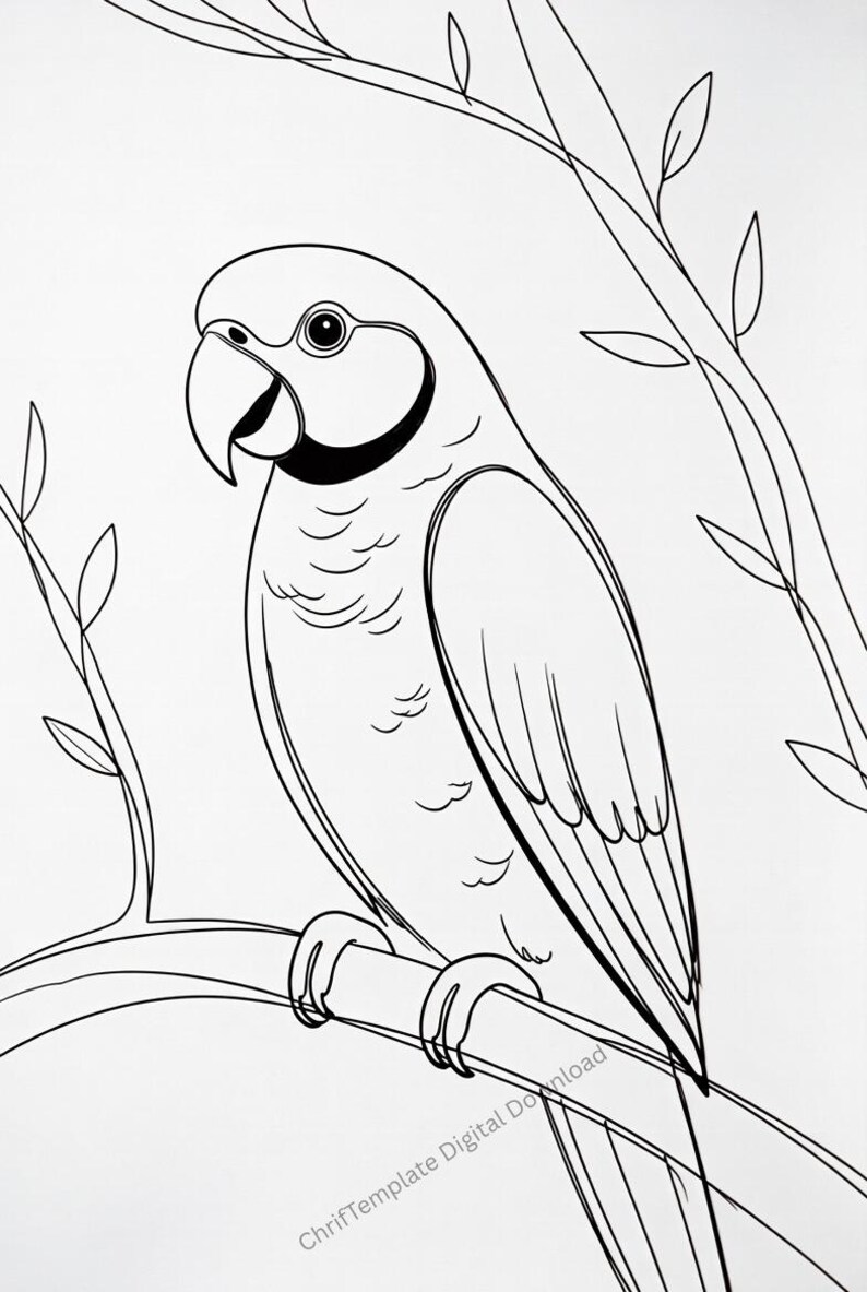 Pet Coloring Pages Bundle Printable (Digital Download) image 9