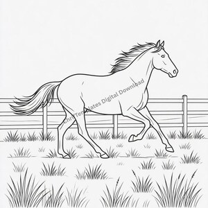 May include: A black and white line art illustration of a horse galloping through a grassy field in front of a wooden fence. The image features the text ChriTemplates Digital Download overlaid across the centre of the horse's body.