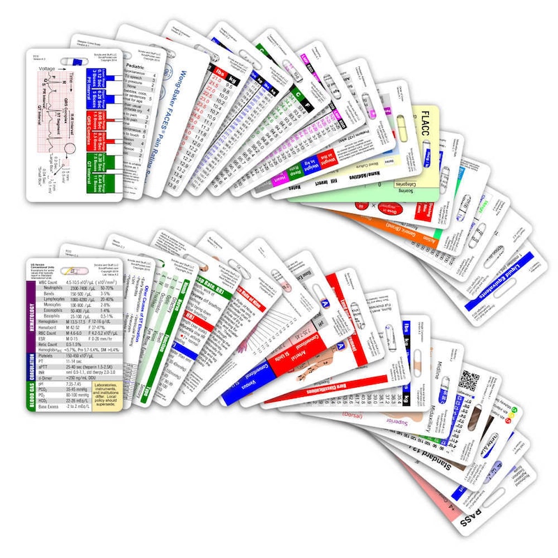 Vet Nurse Cheat Cards Etsy