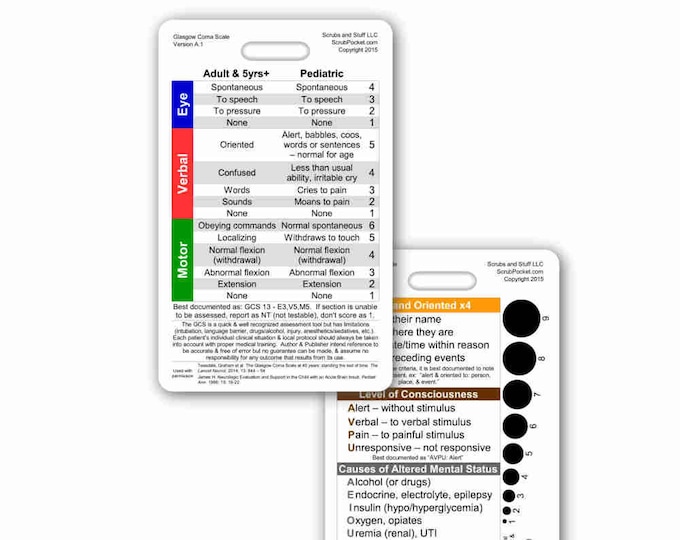 Lab Values Badge Pocket Card Reference Vertical for Nurse Etsy
