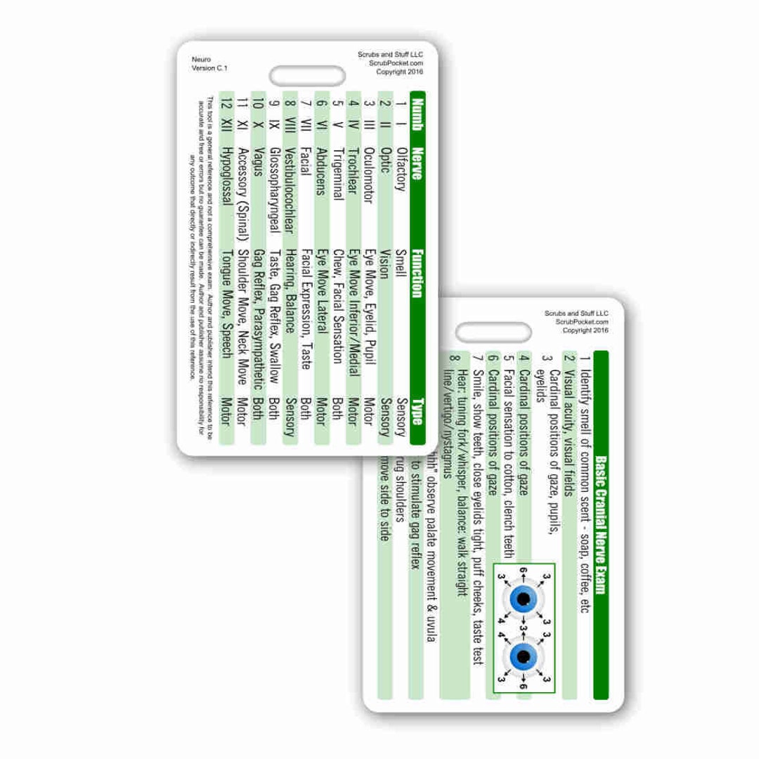 Cranial Nerves Vertical Badge Card - Etsy