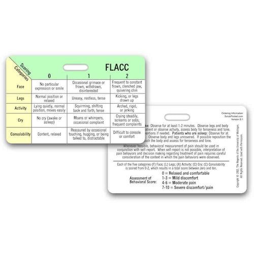 Glasgow Coma Scale Badge Card Horizontal Accessory for Nurse - Etsy