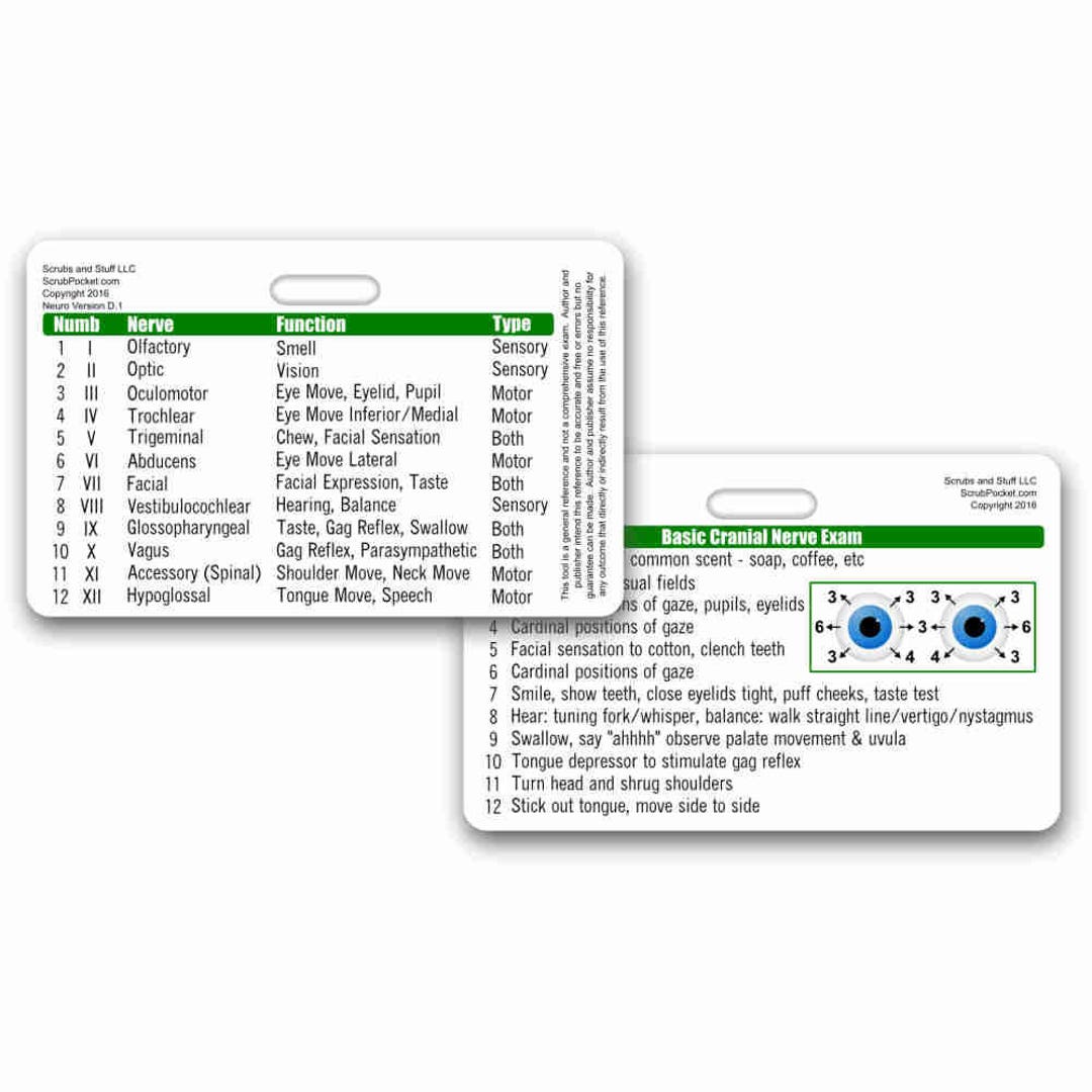 Cranial Nerves Horizontal Badge Card - Etsy UK