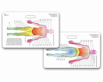 Dermatome Badge Pocket Card Horizontal for Nurse Paramedic EMT for ID Badge Clip Strap or Reel