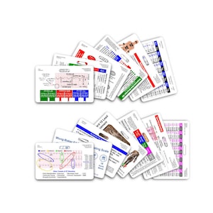 Complete set horizontale badgekaarten EMS - 13 kaarten - voor haspel met riemclip ID-badge EMT Paramedicus
