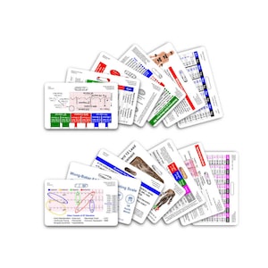 Complete EMS Horizontal Badge Card Set - 13 Cards - for ID Badge Clip Strap Reel EMT Paramedic Medic