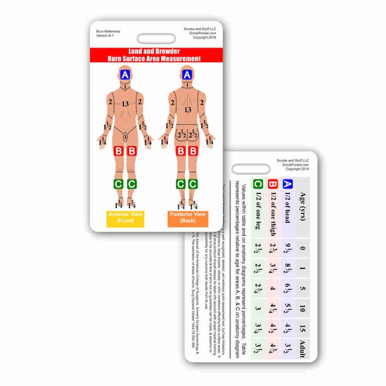 Lund and Browder Chart Vertical Badge Card - Etsy