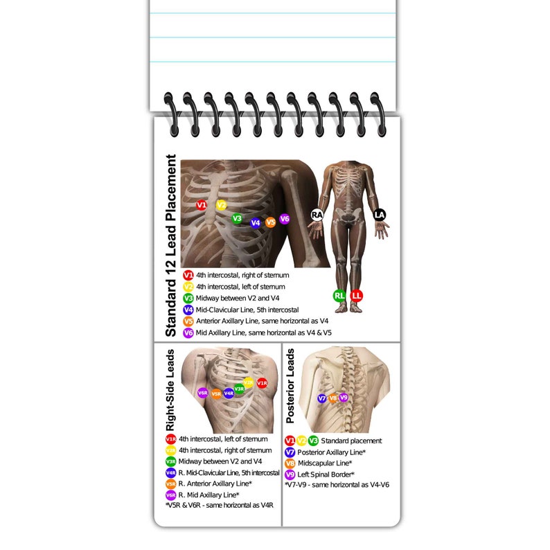 Emt Notepad Layout.pdf Reusable, EKG, Nurse Notepad, Nursing Notes, Gift for Nurse, Paramedic ...