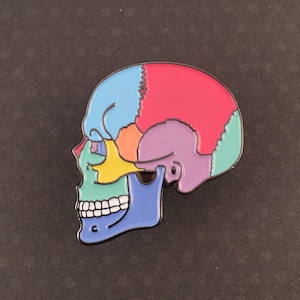 Textbook Anatomy Pin | Nerdy, Funny, & Real by RadGirlCreations