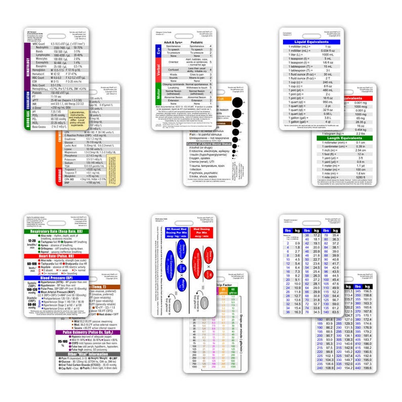 Mini Nurse RN Vertical Badge Card Set - 6 Cards - for ID Badge Clip ...