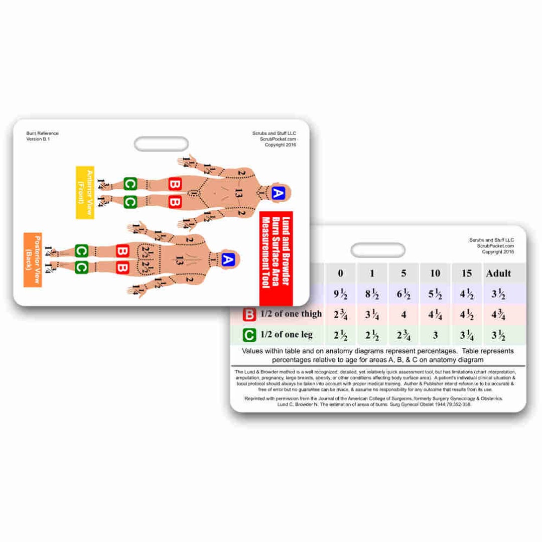 Lund and Browder Chart Horizontal Badge Card - Etsy