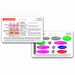 Horizontal Badge ID Card Pocket For Nurses, EMTs, Paramedics - Neuro Dermatome Design 8 thumbnail image
