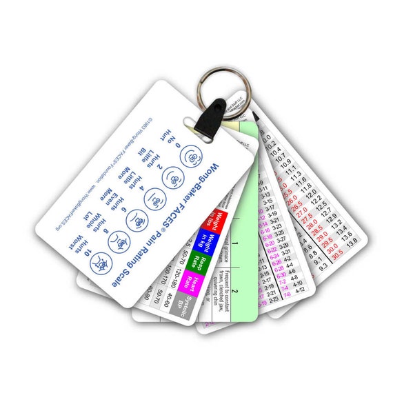 5 Card Keychain Badge Card Set for Nurse Paramedic EMT for ID