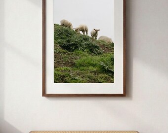May include: A framed wall art print featuring a photograph of four white sheep grazing on a green, grassy hillside under a pale sky. The artwork is enclosed in a dark brown wooden frame with a white mat border, displayed on a plain wall.