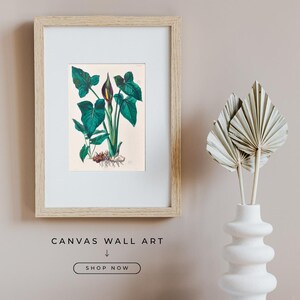 Op de afbeelding: Een ingelijste botanische print van een groene plant met grote bladeren en een paars-gele bloemknop in een lichthouten lijst. Onder de lijst staat de tekst CANVAS WALL ART, een pijl naar beneden en de knop SHOP NOW.