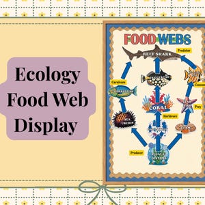 May include: An educational poster titled Food Webs featuring a marine ecosystem diagram with illustrations of a reef shark, triggerfish, parrotfish, coral, sea urchin, starfish, clam, and algae. Blue arrows indicate energy flow between organisms.