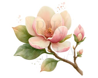 Elegant Spring Magnolia Flower And Leaf Branch Clipart Set Design, Printable Watercolor, High-Quality PNGs, Paper Craft, Junk Journal