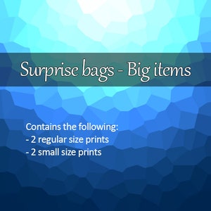Surprise Bag - Prints