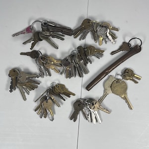 Könnte beinhalten: Eine Sammlung zahlreicher Metallschlüssel, die an mehreren verschiedenen Ringen befestigt sind, mit verschiedenen Formen, Größen und Metalloberflächen in Messing-, Silber- und Kupfertönen sowie einem langen, braunen, zylindrischen Metallwerkzeug.