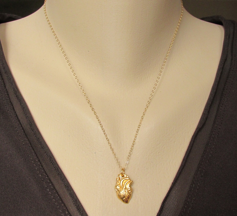 Gold Anatomical Heart Necklace Heart Organ Necklace Etsy
